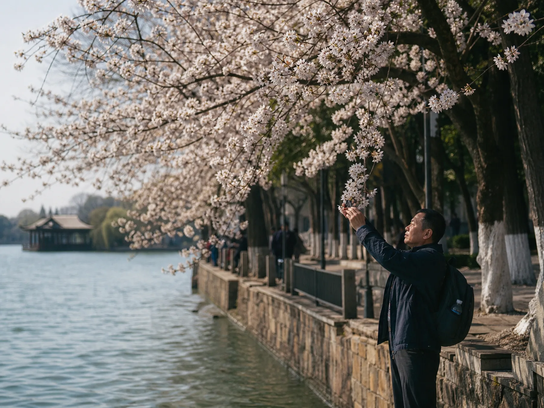 Second visual context: Wuhan blossom season: a route with reserve